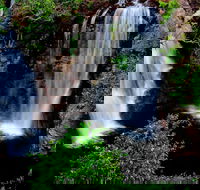 Litchfield Dreams 1 Day National Park Waterfall Swimming  Jumping Croc Cruise - Tourism Townsville