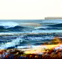 7-Day Byron Bay Evans Head and Moonee Beach Surf Safari from Brisbane Gold Coast or Byron Bay