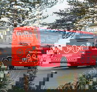 SkyBus Byron Bay Express