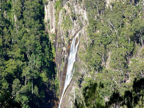 Carrai National Park - Tourism Townsville 0