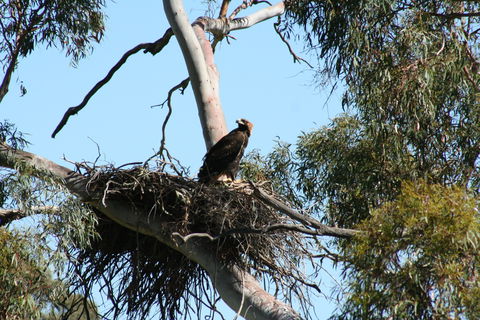 Castle Creek Reserve - Tourism Townsville 0