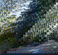 Hastings Forest Way Touring Route - Tourism Townsville
