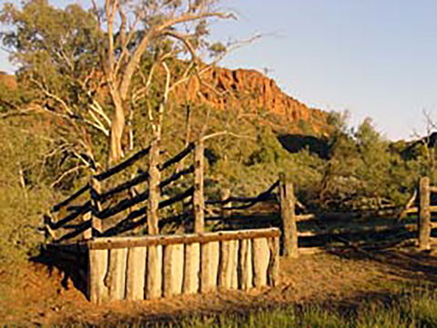 Illamurta Springs Conservation Reserve - Tourism Townsville 0