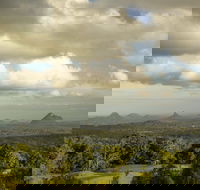 Mary Cairncross Scenic Reserve Rainforest Walk - Tourism Townsville