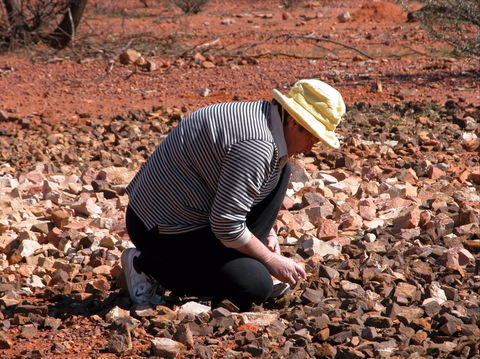 Quilpie Opal Fossicking - Tourism Townsville 1