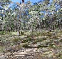 Reef Hills State Park - Tourism Townsville