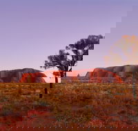 Sunrise Viewing Area Talinguru Nyakunytjaku - Tourism Townsville