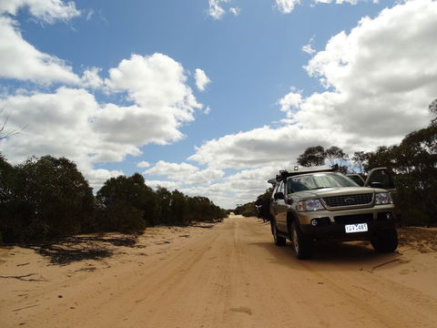 Wyperfeld National Park - Tourism Townsville 1