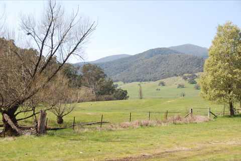Banimboola Creek Rest Area - Tourism Townsville 0