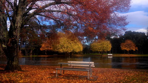 Bells Parade Reserve - Tourism Townsville 0