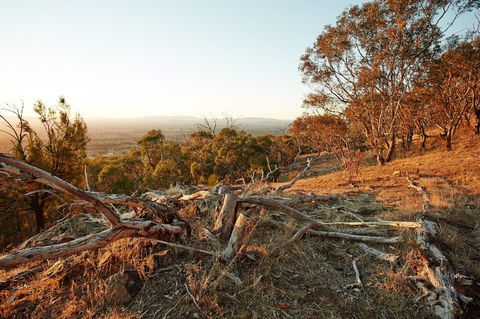 Chick Hill Walk - Tourism Townsville 0