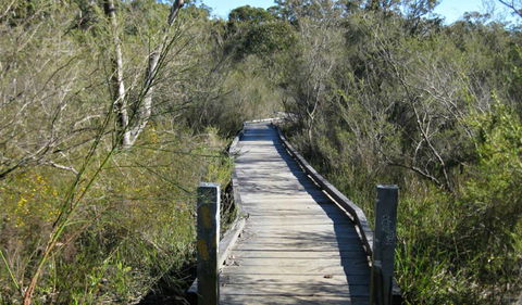 Falcon Crescent Link Track - Tourism Townsville 0