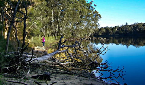 Five Islands Walking Track - Tourism Townsville 0
