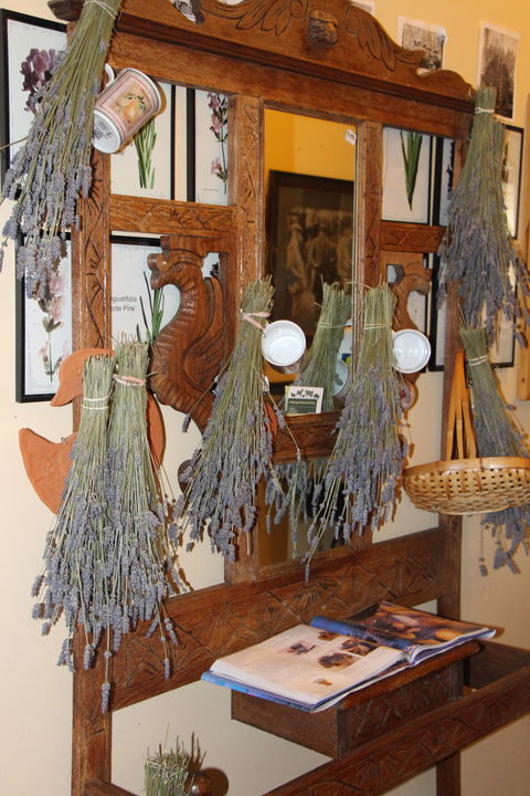 Lavender House In Railway Park - Tourism Townsville 1