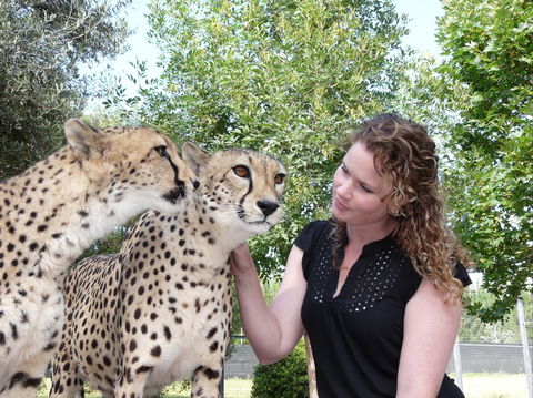 National Zoo & Aquarium - Tourism Townsville 1