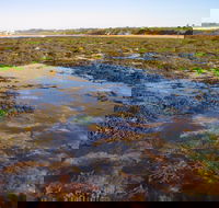 Point Danger Marine Sanctuary