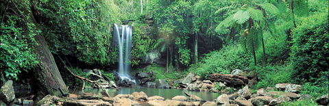 Tamborine National Park - Tourism Townsville 0