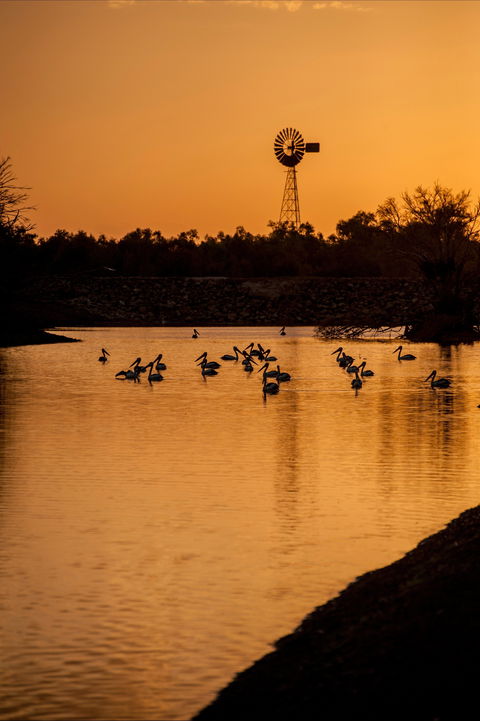 Thomson River, Longreach - Tourism Townsville 2