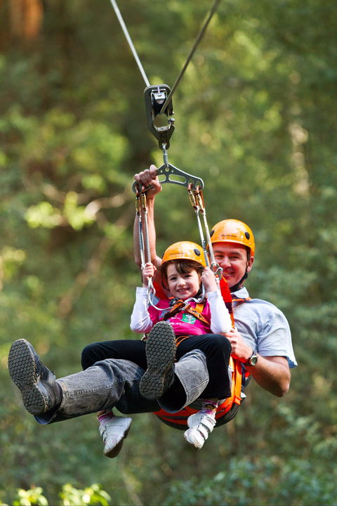 Zipline At Illawarra Fly - Tourism Townsville 0