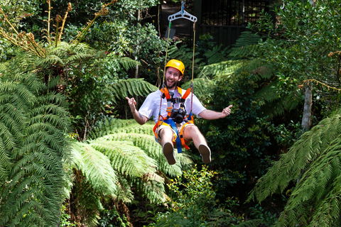 Zipline At Illawarra Fly - Tourism Townsville 2