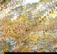 Alpine Views Walk - Tourism Townsville
