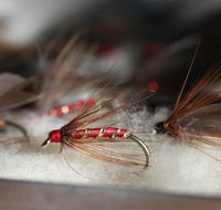 Australian Fly Fishing Museum