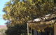 Black Rock House - thumb 1