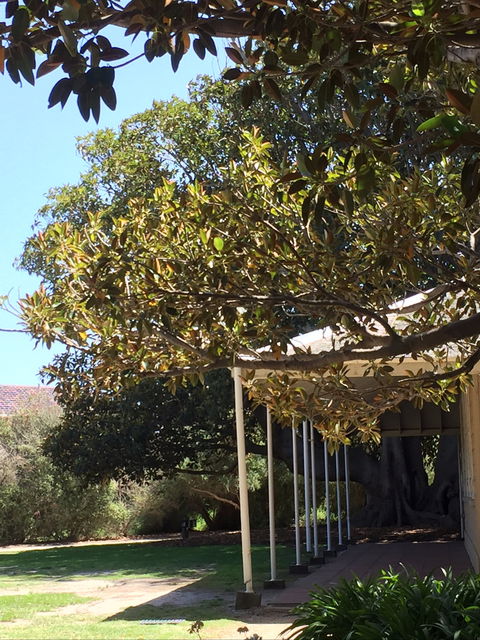 Black Rock House - Tourism Townsville 1