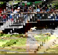 Crocodylus Park and Zoo - Tourism Townsville