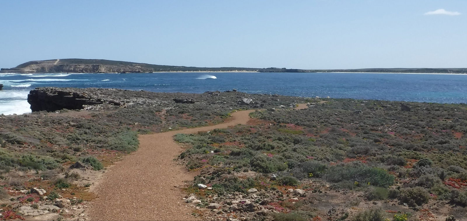 Elliston SA Tourism Townsville