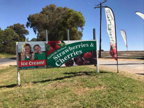 Fairfield Orchard - Tourism Townsville 0