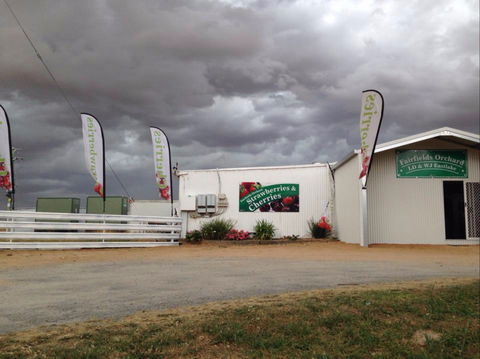 Fairfield Orchard - Tourism Townsville 2