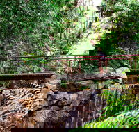George Brown Darwin Botanic Gardens - Tourism Townsville