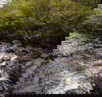 Gloucester River walking track
