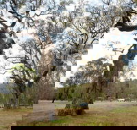 Moolarben Picnic Area - Tourism Townsville