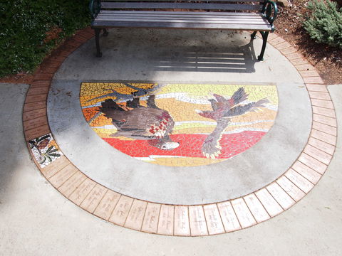 Mosaic Pathway (WASS) - Tourism Townsville 2