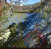 Sphinx Memorial to Bobbin Head Loop Track - Tourism Townsville