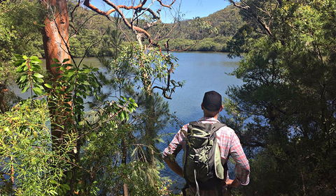 Sphinx Memorial To Bobbin Head Loop Track - Tourism Townsville 0