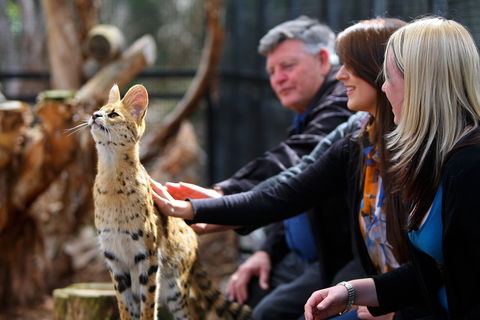 Werribee Open Range Zoo - Tourism Townsville 0