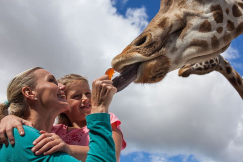 Werribee Open Range Zoo - Tourism Townsville 2