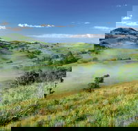 Bega - Tourism Townsville