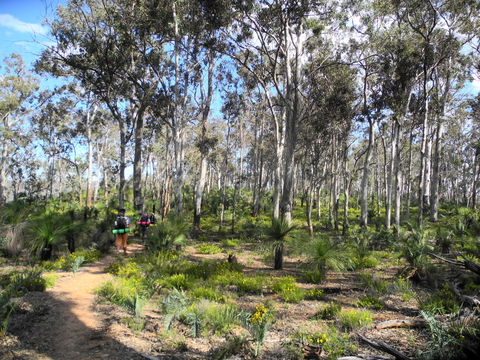 Bibbulmun Track - Tourism Townsville 1