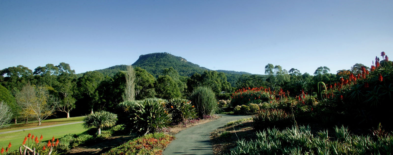 Keiraville NSW Tourism Townsville