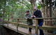 Botanic Garden, Wollongong - thumb 1