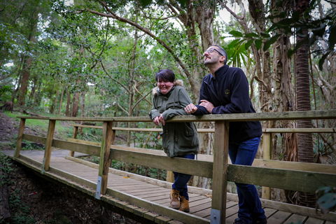 Botanic Garden, Wollongong - Tourism Townsville 1