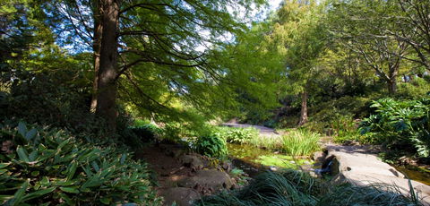 Botanic Garden, Wollongong - Tourism Townsville 2