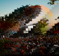 Deckchair Cinema - Tourism Townsville