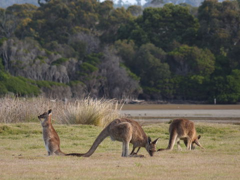 Great Nature Trail - Tourism Townsville 0