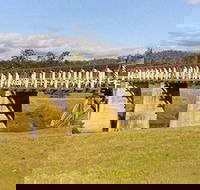 Historic Tabulam DeBurgh Timber Bridge - Tourism Townsville