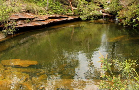 Hominy Creek Walking Track - Tourism Townsville 0